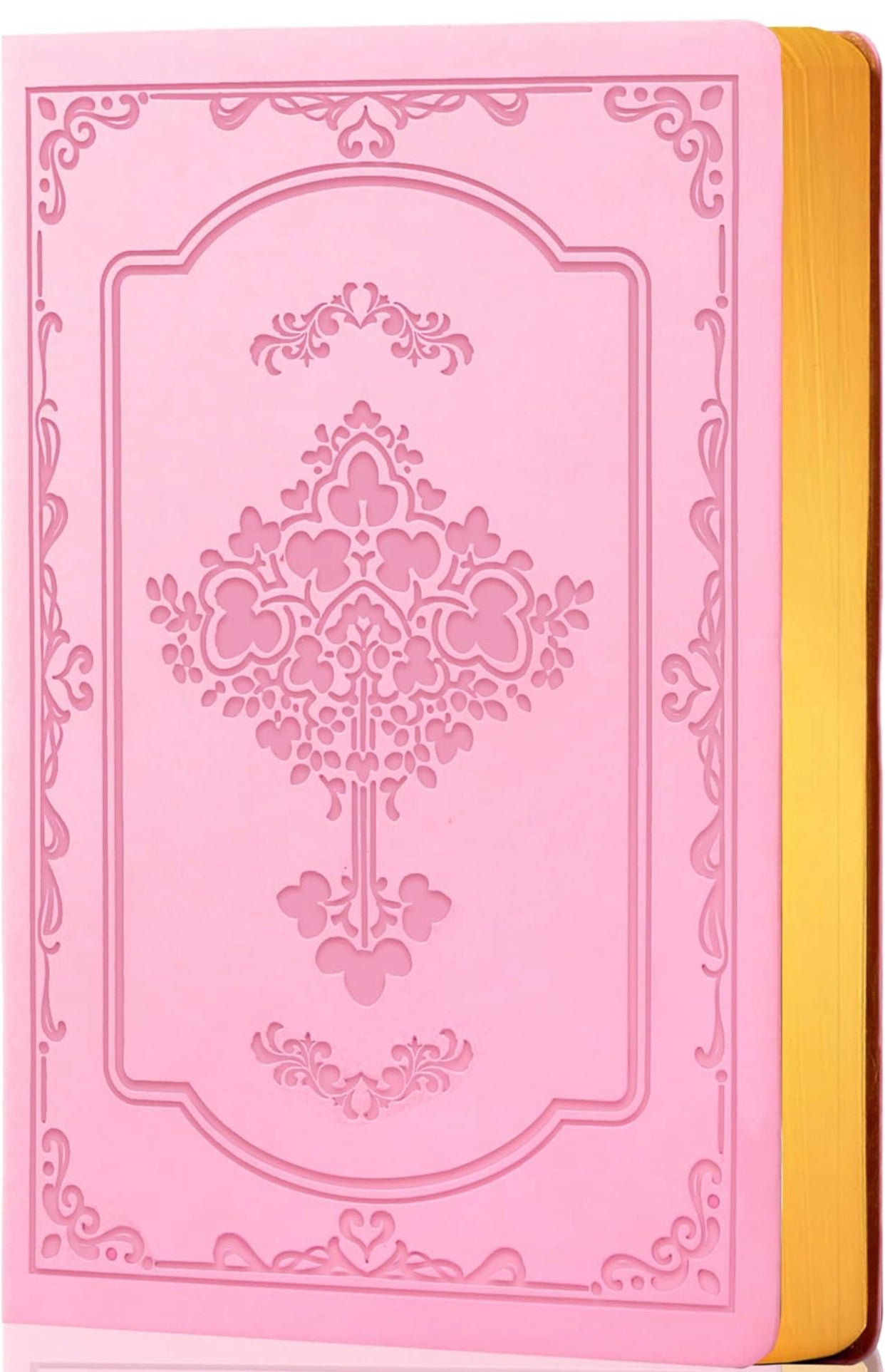 Pink Leather Bound Beginners Grimoire