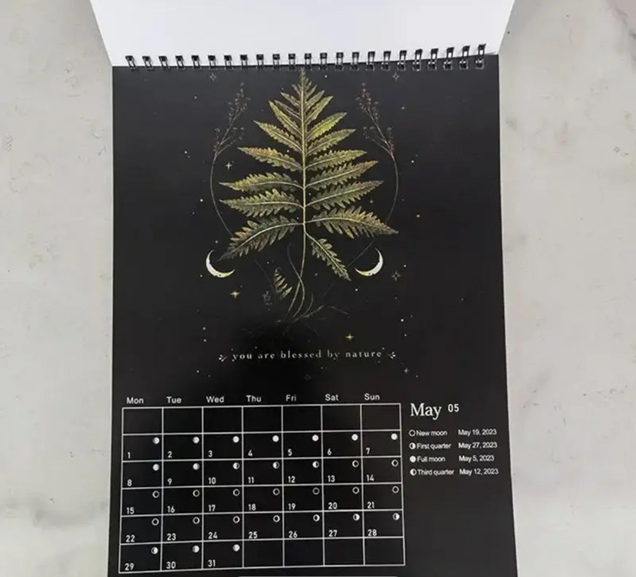 Dark Forest Lunar Calendar 2024